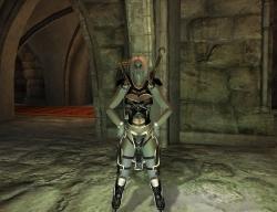 Elder Scrolls IV: Oblivion, The - Ещё одни модификации.